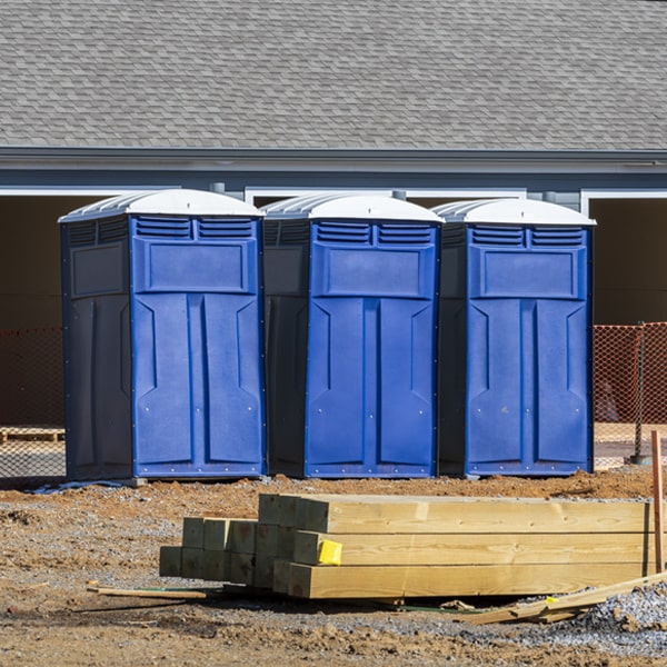 how often are the porta potties cleaned and serviced during a rental period in Albany